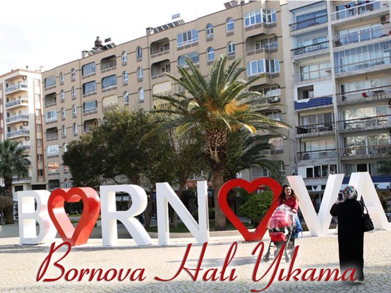 Bornova Halı Yıkama